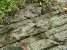 faulting effect